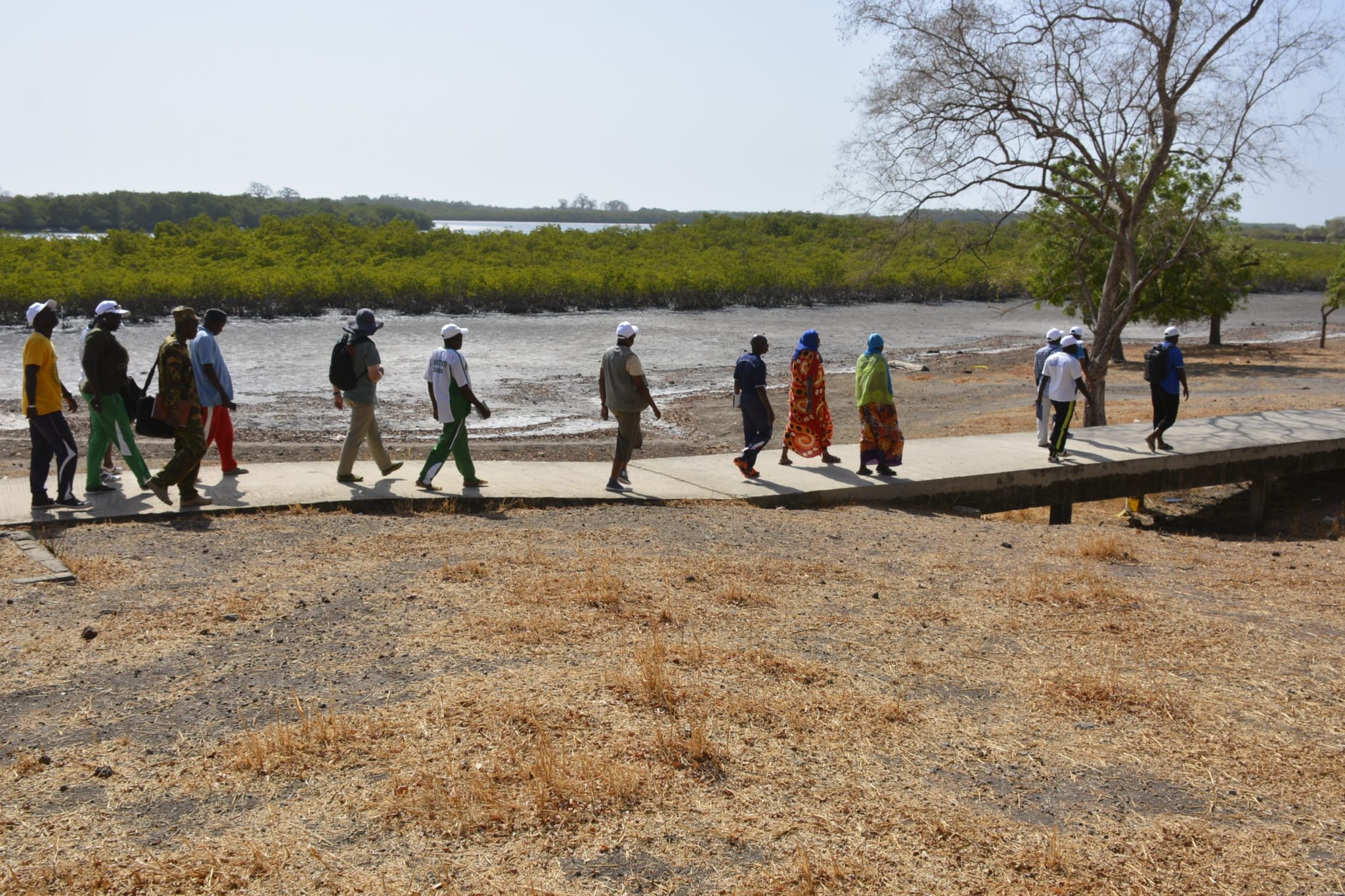 Community-Based Ecological Mangrove Restoration (CBEMR): Re ...