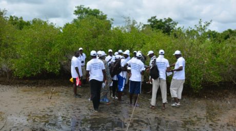 Cours régional mangrove
