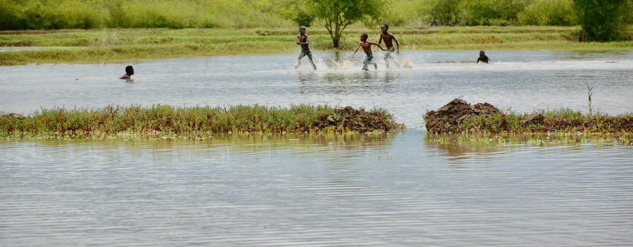 Site de restauration écologique guinée bissau