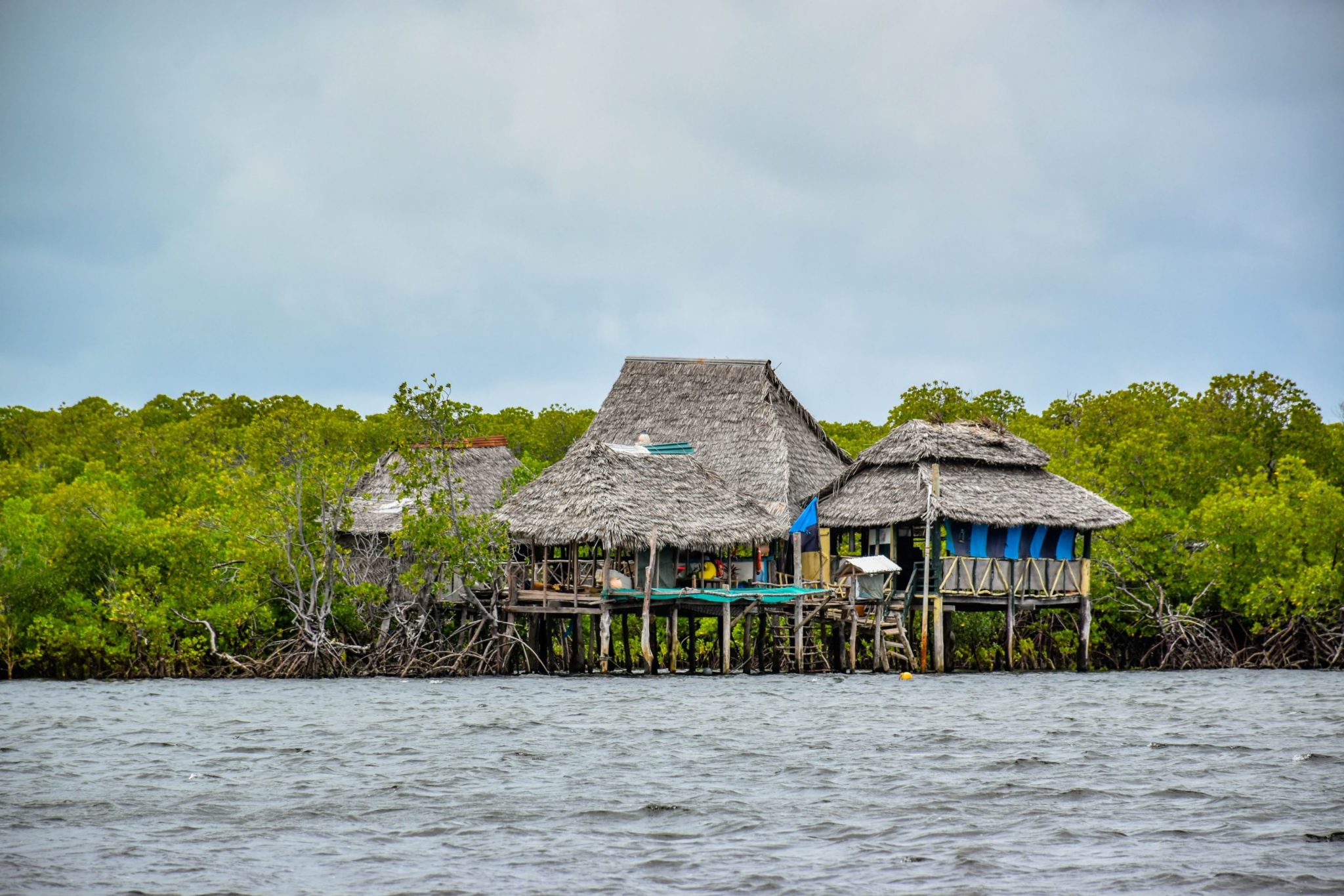 A Tapestry of Culture, Heritage and Mangroves: Exploring Ecotourism in Pate  - Wetlands International Africa